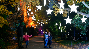 Family of four pose under star lights hanging from trees in Kew Gardens